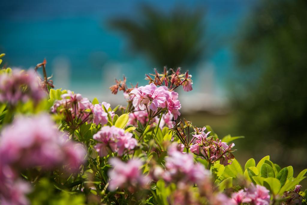 Krouzeri Beach Apartments Nisaki  Camera foto